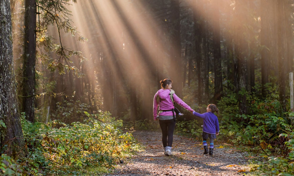 une femme et une fille se tiennent la main et marchent dans une forêt avec le soleil qui traverse